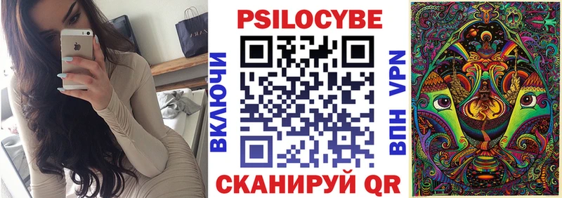 Купить где  Кириши  Псилоцибиновые грибы Psilocybe 